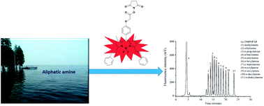 Graphical abstract: A long-wavelength fluorescent probe for amino compounds and its application in the determination of aliphatic amines
