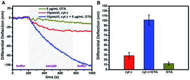 Graphical abstract: Ochratoxin A enhanced detection of cytochrome c with an aptamer-based microcantilever sensor