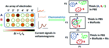 Graphical abstract: Combining cross-reactivity of an electrode array with the selective thiol reporting process of redox indicators: targeted sensing of biothiols