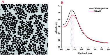 Graphical abstract: Matrix effect of five kinds of meat on colloidal gold immunochromatographic assay for sulfamethazine detection