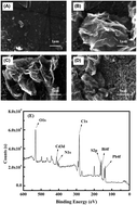 Graphical abstract: Simultaneous determination of trace Cd2+ and Pb2+ using GR/l-cysteine/Bi modified screen-printed electrodes