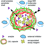 Graphical abstract: Microcapsules as assay compartments formed through layer-by-layer deposition