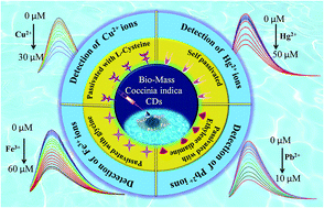 Graphical abstract: A green synthetic route for the surface-passivation of carbon dots as an effective multifunctional fluorescent sensor for the recognition and detection of toxic metal ions from aqueous solution
