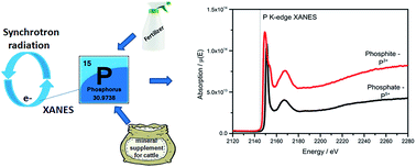 Graphical abstract: Determination and speciation of phosphorus in fertilizers and mineral supplements for cattle by X-ray absorption near-edge structure spectroscopy: a simple nondestructive method