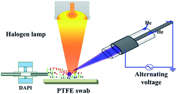 Graphical abstract: Non-contact light-radiation thermal desorption-assisted LTP ionization miniature ion trap mass spectrometry for rapid analysis of the flavouring substances in pipe tobacco