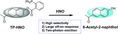 Graphical abstract: A 6-acetyl-2-naphthol based two-photon fluorescent probe for the selective detection of nitroxyl and imaging in living cells