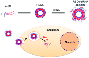Graphical abstract: Redox-sensitive dendrimersomes assembled from amphiphilic Janus dendrimers for siRNA delivery