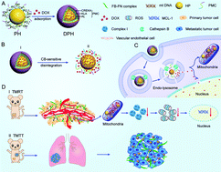 Graphical abstract: Primary tumor and pre-metastatic niches co-targeting “peptides-lego” hybrid hydroxyapatite nanoparticles for metastatic breast cancer treatment