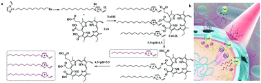 Graphical abstract: Bacteria-activated chlorin e6 ionic liquid based on cation and anion dual-mode antibacterial action for enhanced photodynamic efficacy