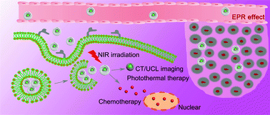 Graphical abstract: A smart tumor microenvironment responsive nanoplatform based on upconversion nanoparticles for efficient multimodal imaging guided therapy