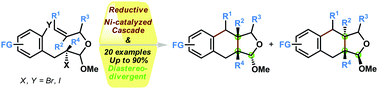 Graphical abstract: Stereoselective synthesis of a Podophyllum lignan core by intramolecular reductive nickel-catalysis