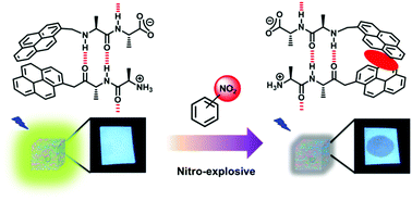 Graphical abstract: Bicomponent β-sheet assembly of dipeptide fluorophores of opposite polarity and sensitive detection of nitro-explosives