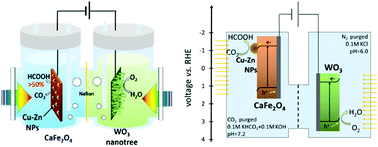 Graphical abstract: A Cu–Zn nanoparticle promoter for selective carbon dioxide reduction and its application in visible-light-active Z-scheme systems using water as an electron donor