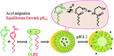 Graphical abstract: A headgroup linker perturbs pKavia acyl chain migration: designing base-labile supramolecular assemblies