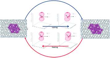 Graphical abstract: A thermo-responsive structural switch and colossal anisotropic thermal expansion in a chiral organic solid