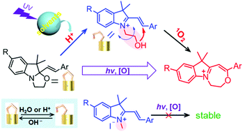 Graphical abstract: Photooxidation of oxazolidine molecular switches: uncovering an intramolecular ionization facilitated cyclization process