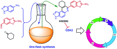 Graphical abstract: Tetrahydro-3H-pyrazolo[4,3-a]phenanthridine-based CDK inhibitor