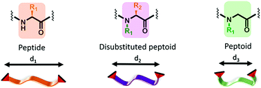 Graphical abstract: Tuning conformation and properties of peptidomimetic backbones through dual N/Cα-substitution
