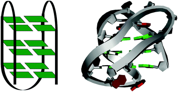 Graphical abstract: An intramolecular antiparallel G-quadruplex formed by human telomere RNA