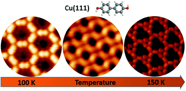 Graphical abstract: Construction of molecular regular tessellations on a Cu(111) surface