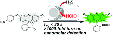 Graphical abstract: A highly sensitive and selective fluorescent probe for fast sensing of endogenous HClO in living cells