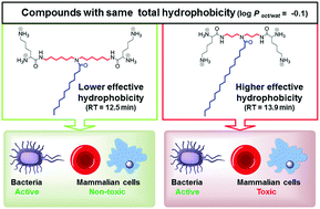 Graphical abstract: Selectively targeting bacteria by tuning the molecular design of membrane-active peptidomimetic amphiphiles
