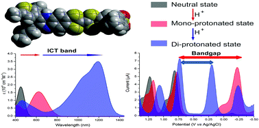 Graphical abstract: Electrochemical amphotericity and NIR absorption induced via the step-wise protonation of fused quinoxaline-tetrathiafulvalene-pyrroles