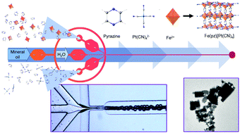 Graphical abstract: Extreme downsizing in the surfactant-free synthesis of spin-crossover nanoparticles in a microfluidic flow-focusing junction