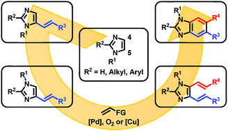Graphical abstract: Regioselective C–H alkenylation of imidazoles and its application to the synthesis of unsymmetrically substituted benzimidazoles