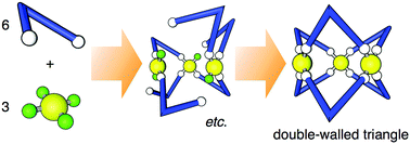 Graphical abstract: Two dominant self-assembly pathways to a Pd3L6 double-walled triangle