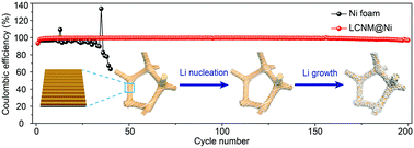 Graphical abstract: Ladderlike carbon nanoarrays on 3D conducting skeletons enable uniform lithium nucleation for stable lithium metal anodes