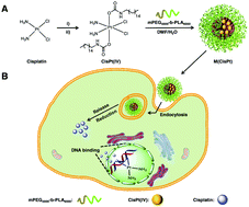 Graphical abstract: Platinum(iv) prodrugs with long lipid chains for drug delivery and overcoming cisplatin resistance
