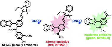 Graphical abstract: Bis-reaction-trigger as a strategy to improve the selectivity of fluorescent probes