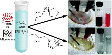Graphical abstract: On the non-innocence of the imidazolium cation in a rapid microwave synthesis of oleylamine-capped gold nanoparticles in an ionic liquid