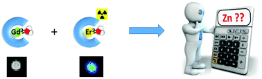 Graphical abstract: A cocktail of 165Er(iii) and Gd(iii) complexes for quantitative detection of zinc using SPECT and MRI
