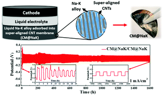 Graphical abstract: Room-temperature liquid metal-based anodes for high-energy potassium-based electrochemical devices