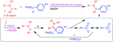 Graphical abstract: α-Arylation of alkylamines with sulfonylarenes through a radical chain mechanism