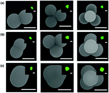 Graphical abstract: Compressible colloidal clusters from Pickering emulsions and their DNA functionalization