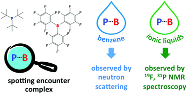 Graphical abstract: Frustrated Lewis pairs in ionic liquids and molecular solvents – a neutron scattering and NMR study of encounter complexes