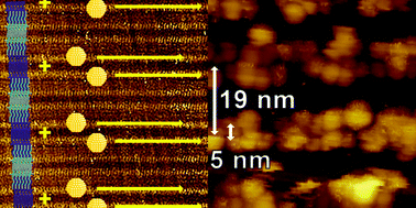 Graphical abstract: Reactive two-component monolayers template bottom-up assembly of nanoparticle arrays on HOPG