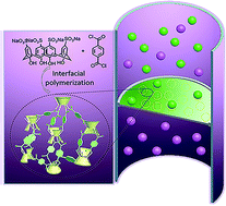 Graphical abstract: Macrocycle crosslinked mesoporous polymers for ultrafast separation of organic dyes