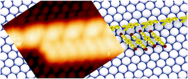 Graphical abstract: Controlled growth of a bicomponent supramolecular network by the sergeants & soldiers principle