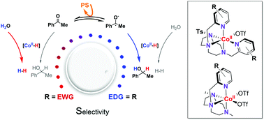 Graphical abstract: Enhancement and control of the selectivity in light-driven ketone versus water reduction using aminopyridine cobalt complexes