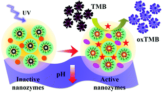 Graphical abstract: Remote activation of nanoparticulate biomimetic activity by light triggered pH-jump
