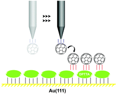 Graphical abstract: Directed assembly of fullerene on modified Au(111) electrodes