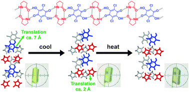 Graphical abstract: Drastic rearrangement of self-assembled hydrogen-bonded tapes in a molecular crystal