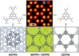 Graphical abstract: Binary supramolecular networks of bridged triphenylamines with different substituents and identical scaffolds