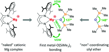 Graphical abstract: Unsupported metal silyl ether coordination