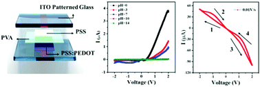 Graphical abstract: A flexible ionic synaptic device and diode-based aqueous ion sensor utilizing asymmetric polyelectrolyte distribution