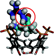 Graphical abstract: “Calix[4]-box” cages promote the formation of amide bonds in water in the absence of coupling reagents